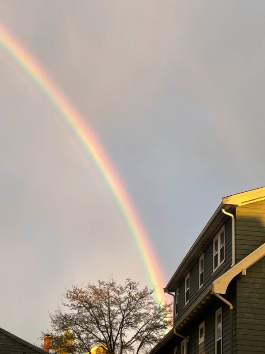 Photo of the Week 4/14